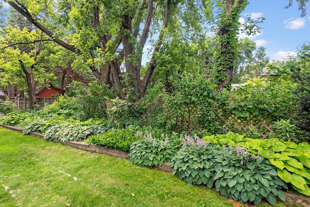 113 Oak Ave SW, Saint Michael, MN 55376 - view of yard