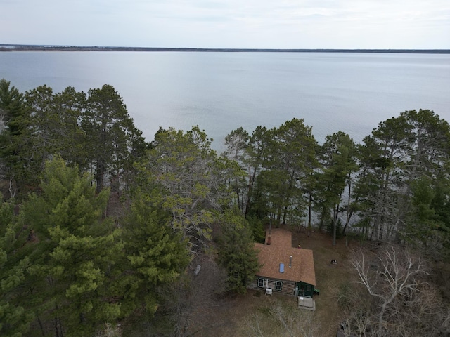 15298 Bayview Loop NW, Cass Lake, MN 56633 - photo 27