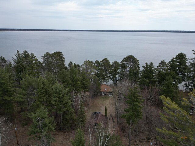 15298 Bayview Loop NW, Cass Lake, MN 56633 - photo 29