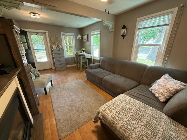 328 Jefferson Pl, Faribault, MN 55021 - living room featuring light wood-type flooring, a textured ceiling, and baseboards