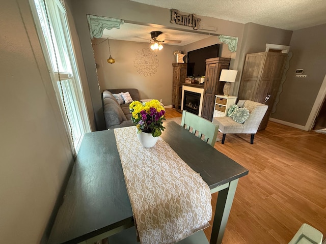 328 Jefferson Pl, Faribault, MN 55021 - dining area featuring a ceiling fan, a fireplace, light wood-style floors, baseboards, and a textured ceiling