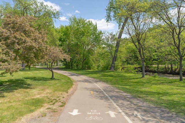 view of community with a yard
