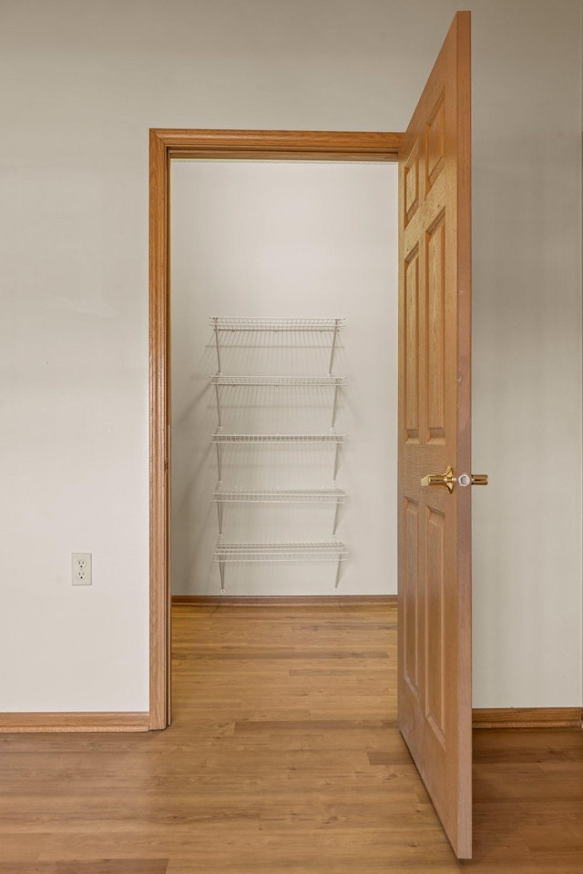 spacious closet featuring light wood-style floors
