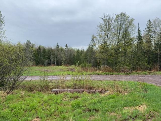 1335 Big Noise Pit Rd, Two Harbors, MN 55616 - view of woods