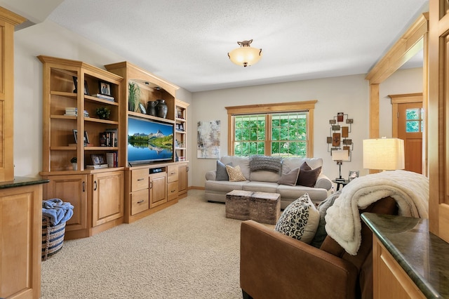 1301 Pondview Ln, Saint Joseph, MN 56374 - carpeted living room with a textured ceiling