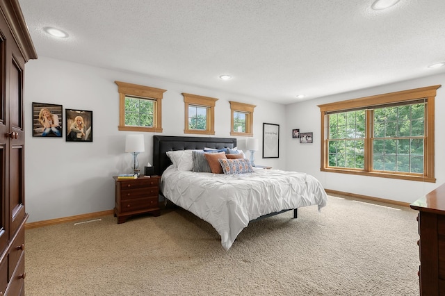 1301 Pondview Ln, Saint Joseph, MN 56374 - bedroom featuring a textured ceiling, baseboards, light colored carpet, and multiple windows