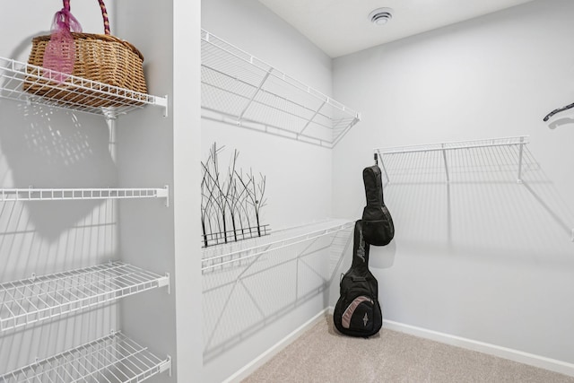 4600 Foxglove Dr, Minnetrista, MN 55331 - walk in closet with carpet flooring
