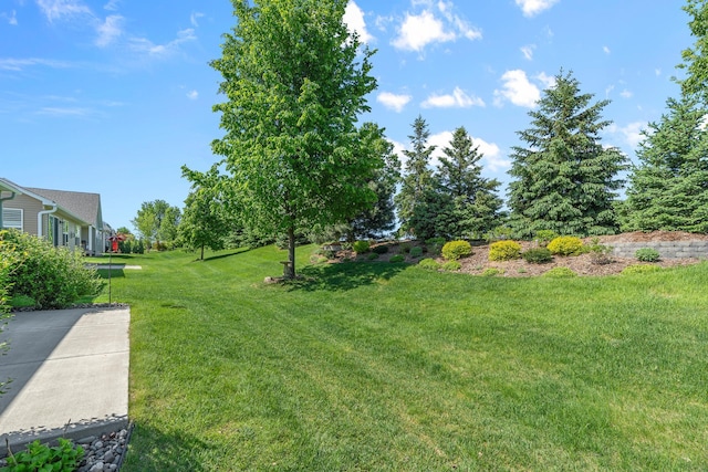 5234 Sundial Ln, Woodbury, MN 55129 - view of green lawn