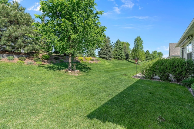 5234 Sundial Ln, Woodbury, MN 55129 - view of green lawn