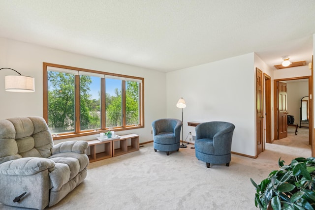 sitting room with light colored carpet and baseboards