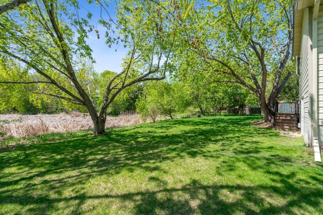 view of grassy yard