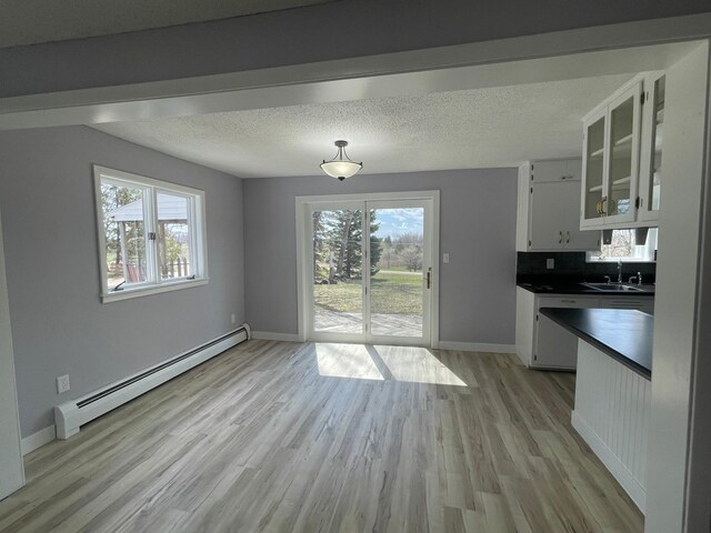8520 County Road 27 SW, Alexandria, MN 56308 - photo 11