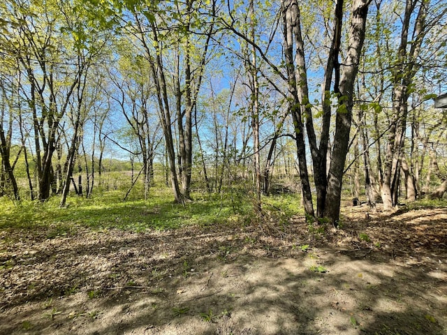 8520 County Road 27 SW, Alexandria, MN 56308 - photo 18
