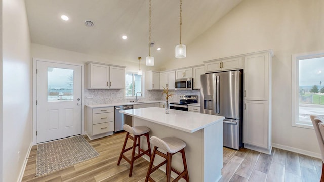 1150 Eagle Ln, Wabasha, MN 55981 - photo 4