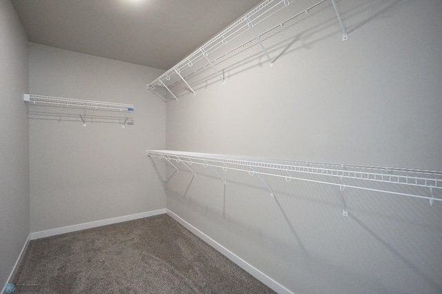 8072 Goldfinch Dr, Horace, ND 58047 - walk in closet with carpet