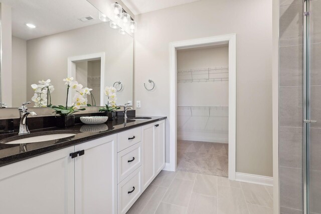 3729 Queensland Ln N, Plymouth, MN 55446 - bathroom featuring a spacious closet, baseboards, a sink, visible vents, and double vanity