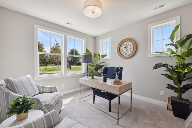 3725 Queensland Ln N, Plymouth, MN 55446 - office space with light colored carpet, visible vents, and baseboards