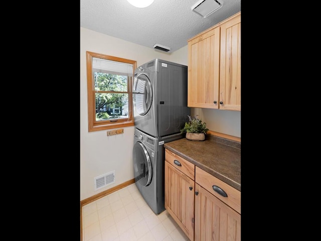 8118 Currant Pl, Eden Prairie, MN 55347 - laundry room with estacked washer and dryer, cabinet space, and a textured ceiling