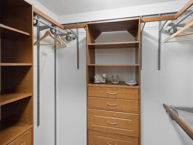 8118 Currant Pl, Eden Prairie, MN 55347 - view of walk in closet