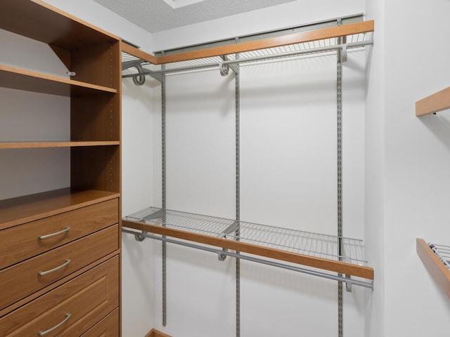 8118 Currant Pl, Eden Prairie, MN 55347 - view of spacious closet