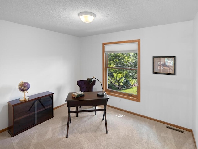 8118 Currant Pl, Eden Prairie, MN 55347 - carpeted home office featuring a textured ceiling and baseboards
