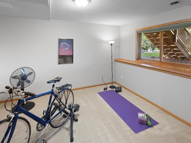 8118 Currant Pl, Eden Prairie, MN 55347 - workout area with carpet and a textured ceiling