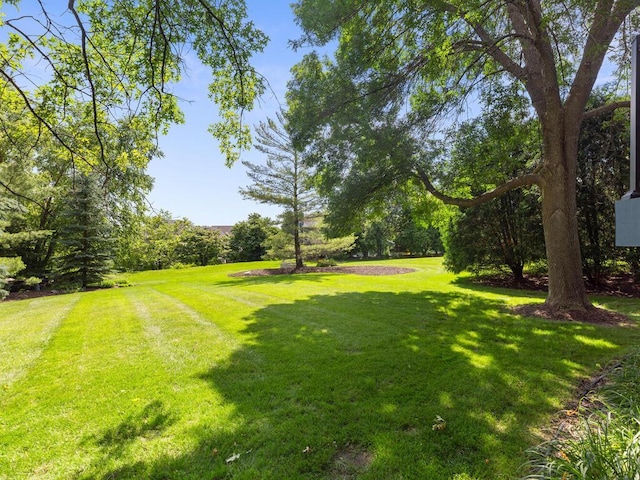 8118 Currant Pl, Eden Prairie, MN 55347 - view of green lawn