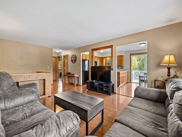 15029 Tyacke Dr, Burnsville, MN 55306 - living room featuring a textured ceiling and light wood-type flooring