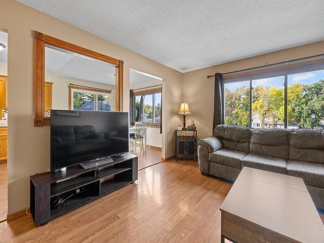 15029 Tyacke Dr, Burnsville, MN 55306 - living room with baseboards, light wood-style flooring, and a textured ceiling