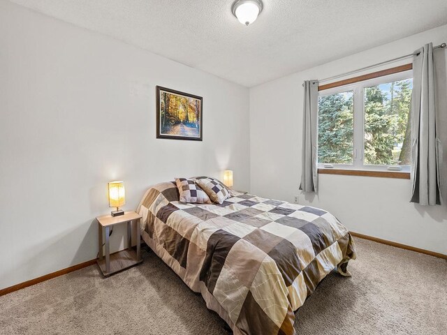 15029 Tyacke Dr, Burnsville, MN 55306 - bedroom with baseboards, a textured ceiling, and light carpet