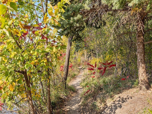 15029 Tyacke Dr, Burnsville, MN 55306 - view of nature