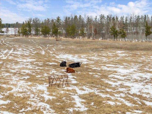 17430 280th St, Sebeka, MN 56477 - snowy yard with a rural view