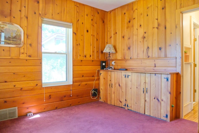 carpeted spare room with wood walls and plenty of natural light