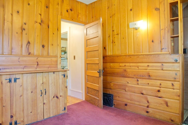 interior space with wood walls and carpet flooring