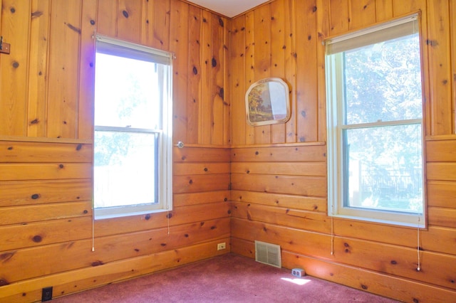 unfurnished room with wood walls and carpet flooring