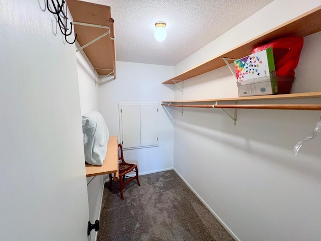 walk in closet with carpet