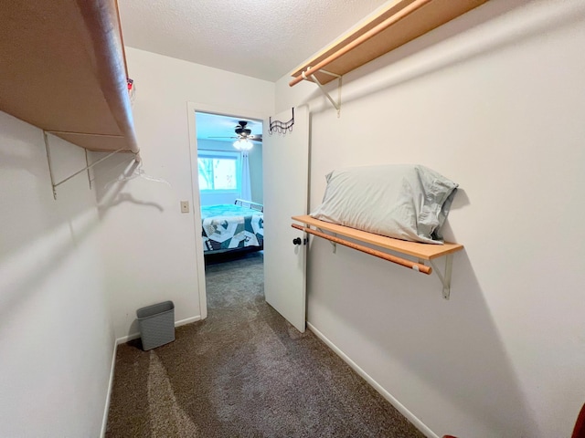 spacious closet with carpet floors