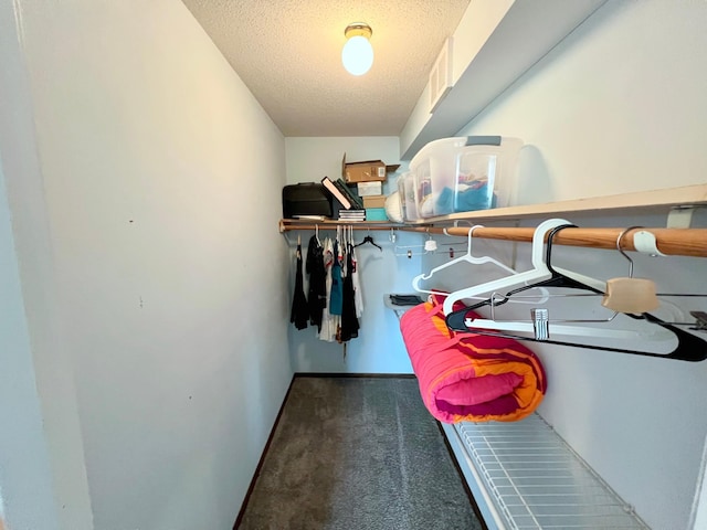 walk in closet featuring visible vents and carpet