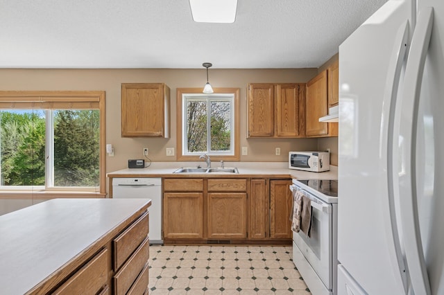 kitchen with white appliances, a sink, under cabinet range hood, light countertops, and plenty of natural light
