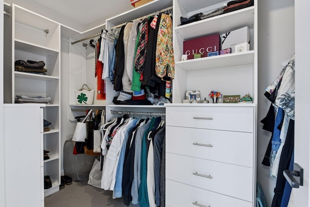 6112 Kellogg Unit 200D, Edina, MN 55424 - walk in closet featuring carpet floors