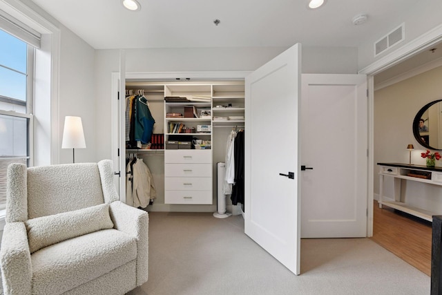 6112 Kellogg Unit 200D, Edina, MN 55424 - view of closet