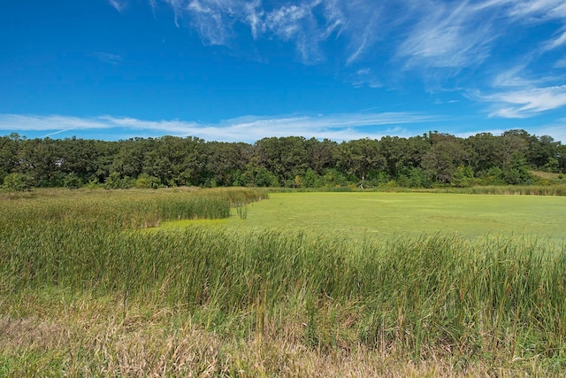 630 Stonegate Cir, Waconia, MN 55387 - view of undeveloped land