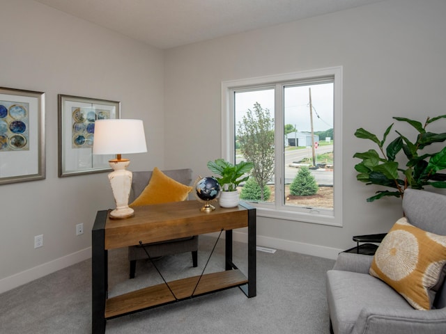 9160 62nd St S, Cottage Grove, MN 55016 - home office with healthy amount of natural light and carpet floors