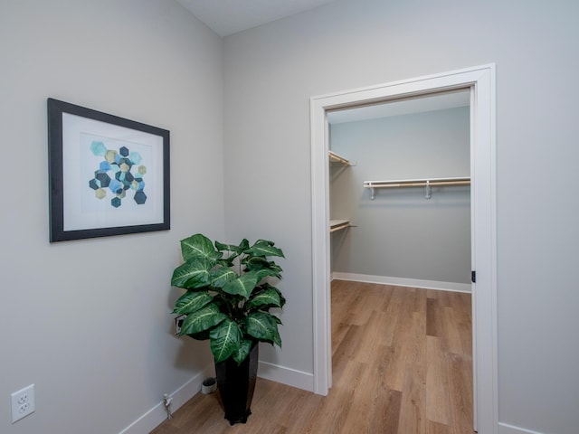 9160 62nd St S, Cottage Grove, MN 55016 - walk in closet with wood finished floors