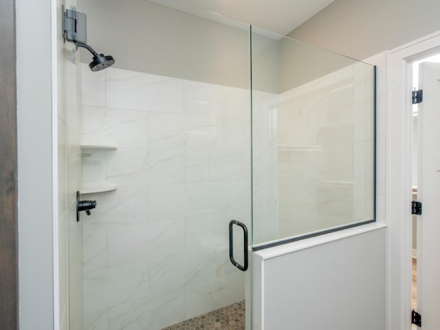 9160 62nd St S, Cottage Grove, MN 55016 - bathroom with a stall shower
