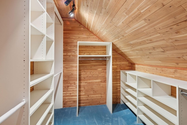300 Diamond Lake Rd, Minneapolis, MN 55419 - spacious closet with carpet flooring and vaulted ceiling