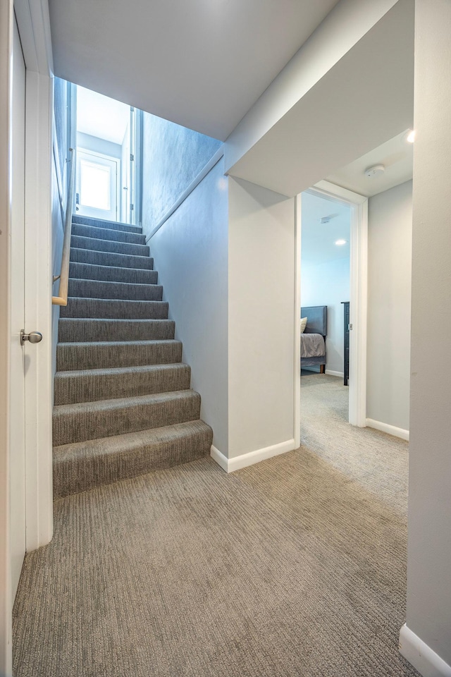 stairway with baseboards and carpet floors