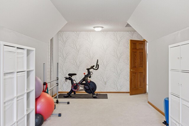 268 Saint Andrews Dr, Hudson, WI 54016 - exercise area featuring wallpapered walls, baseboards, and carpet