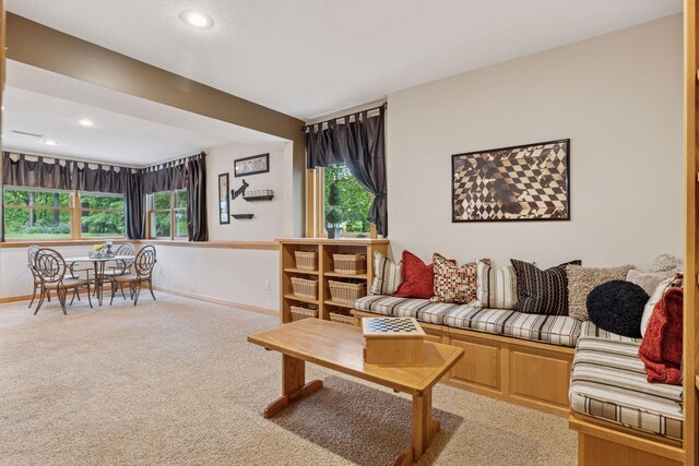 268 Saint Andrews Dr, Hudson, WI 54016 - carpeted living room featuring baseboards and recessed lighting