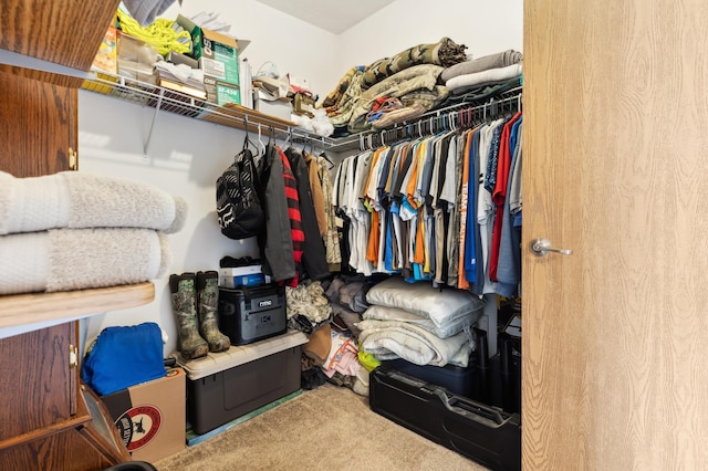 969 Dosh Rd, Fort Ripley, MN 56449 - walk in closet with carpet floors
